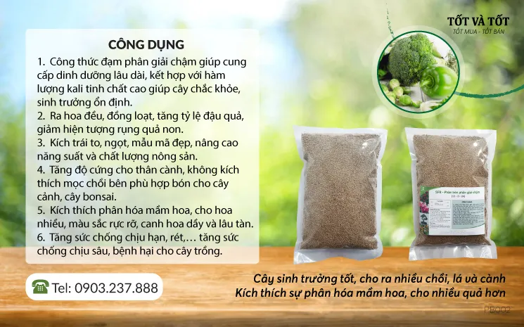 Phân bón cao cấp nhập khẩu Anh Quốc: SRF 12-0-24